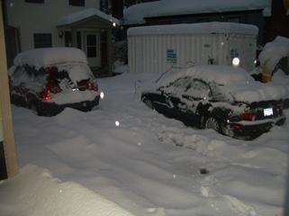From steph-Snow! by FinanceProfessor.