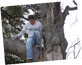 Joey getting down from tree by FinanceProfessor.